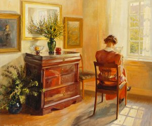 A Woman Reading by a Window