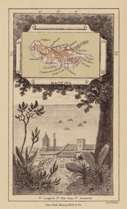 Madeira by Robert Pritchett