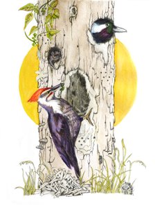 Home Builder by Roberta Murray