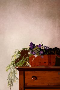 The Dresser