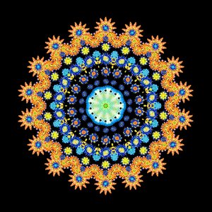 Tropical Fish Wheel 2 by Robyn Parker