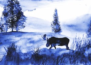 A Winter Moose Landscape