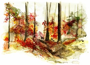 Autumn Forest Surf Journey