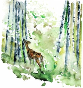 Forest Fawn by RodMacIver