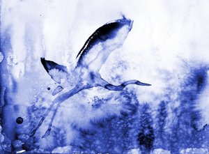 Graceful Blue Heron by RodMacIver