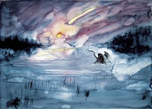 Heron Flying Comet Sky by RodMacIver