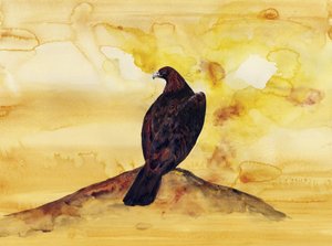 Majestic Golden Eagle