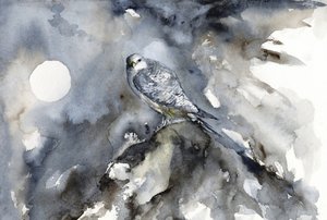 Moonlit Falcon Watch by RodMacIver