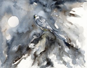 Moonlit Falcon Watch by RodMacIver
