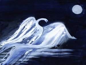 Moonlit Swan
