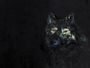 Mysterious Black Wolf