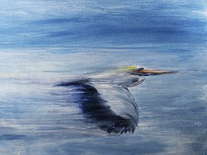 Serene Bird Flight by RodMacIver