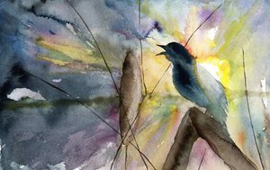 Singing Bird Sunrise by RodMacIver