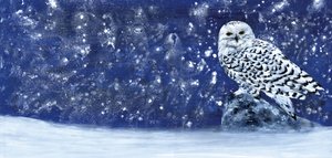 Snowy Evening by RodMacIver
