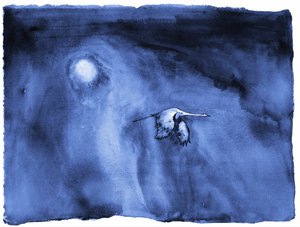 Solo Migration by RodMacIver