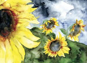 Sunflowers Under Stormy Sky by RodMacIver