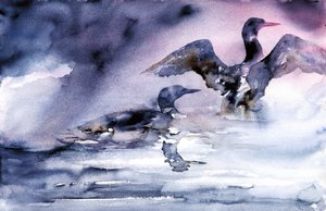 Water Birds at Dusk by RodMacIver