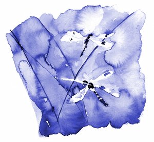 Watercolor Blue Dragonflies