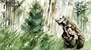 Wild Forest Bear by RodMacIver