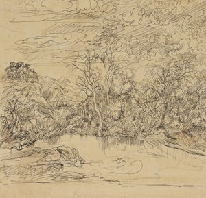 Bank of a Pond by Rodolphe Bresdin
