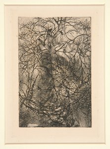 Branches by Rodolphe Bresdin