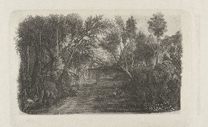 Landscape with Stream and Trees on Banks by Rodolphe Bresdin
