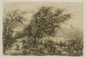 Trees Bending in the Wind