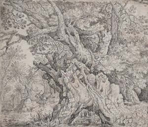 Gnarled Tree by Roelandt Savery