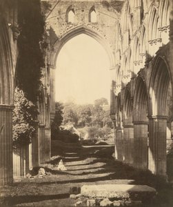 Rievaulx Abbey