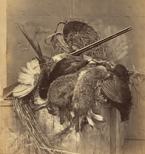 Still Life with Game and Gun by Roger Fenton