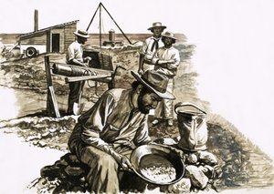 In Search of Buried Treasure: The Failure Who Found a Fortune by Roger Payne