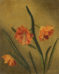 Study of Flowers by Rolinda Sharples
