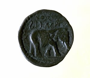 Carthage coin representing an elephant. 3rd or 2nd century BC. by Roman