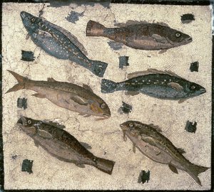 Fish