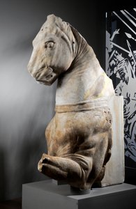Front part of a horse