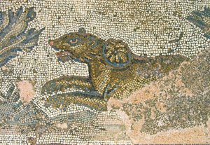 Hunting Scene, Detail of a Lioness, House of Dionysos, Paphos, Cyprus by Roman