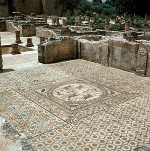 Remains of the Mosaics of the Roman City by Roman