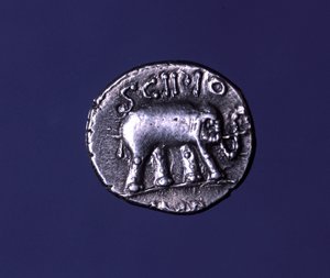 Silver coin representing an elephant, fetish animal of the Scipions. Lucius Caecilius Metellus seized the Carthaginian elephants in 251 BC. 47-46 BC