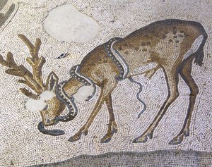 Unknown Image