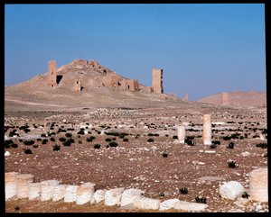View of the tower tombs of Iamblichus and Elahbel by Roman