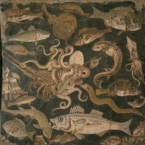 Aquatic Animals, Battle between an Octopus and a Lobster