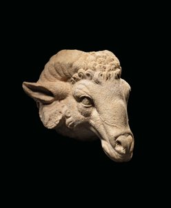 Head of a Ram