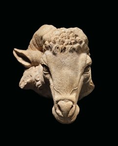 Head of a Ram, c.1st century BC - 1st century AD