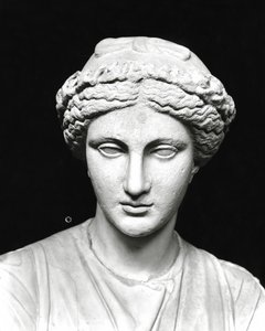 Statue of Clio Holding a Scroll, (detail) of the Head