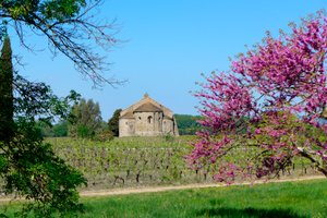 Romanesque Chapel Saint-Etienne de Vaissiere in Azille (photograph) by Romanesque