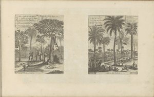 Landscapes with Mango Trees, Coconut Trees, and Palm Trees by Romeyn de Hooghe
