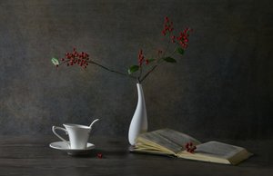 Cozy Reading Still Life