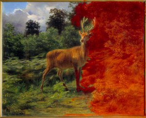 Deer Listening to the Wind