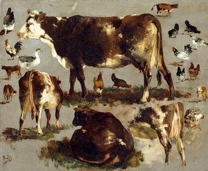 Studies of Cows, Hens, Roosters, a Goose and a Sheep