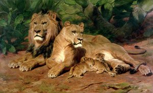 The Lions at Home